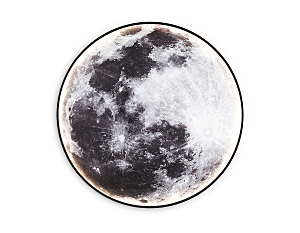 Настенный светильник Wall FW11113