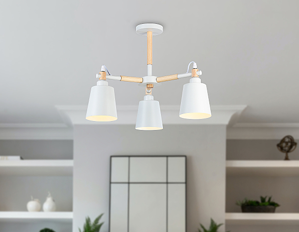 Потолочная люстра Loft TR82204