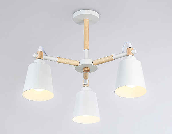 Потолочная люстра Loft TR82204