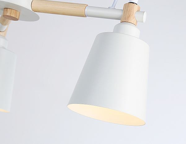 Потолочная люстра Loft TR82204