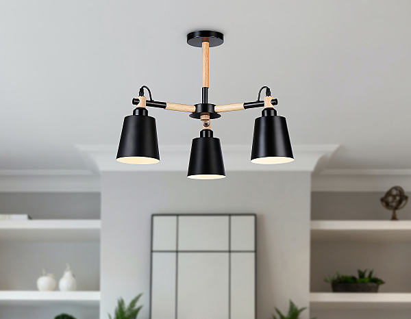 Потолочная люстра Loft TR82206
