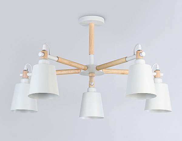 Потолочная люстра Loft TR82208
