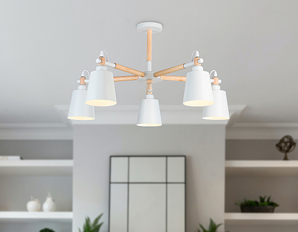 Потолочная люстра Loft TR82208