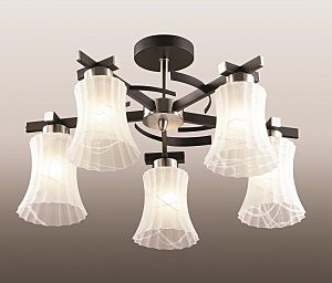 Потолочная люстра Libre 2772/5C