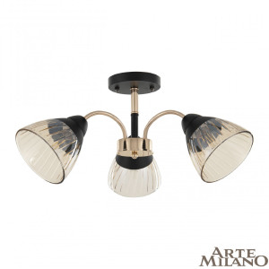 Потолочная люстра Napoli 320119/3 FG+BK
