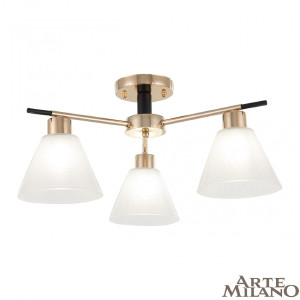 Потолочная люстра Napoli 322119/3 FG+BK