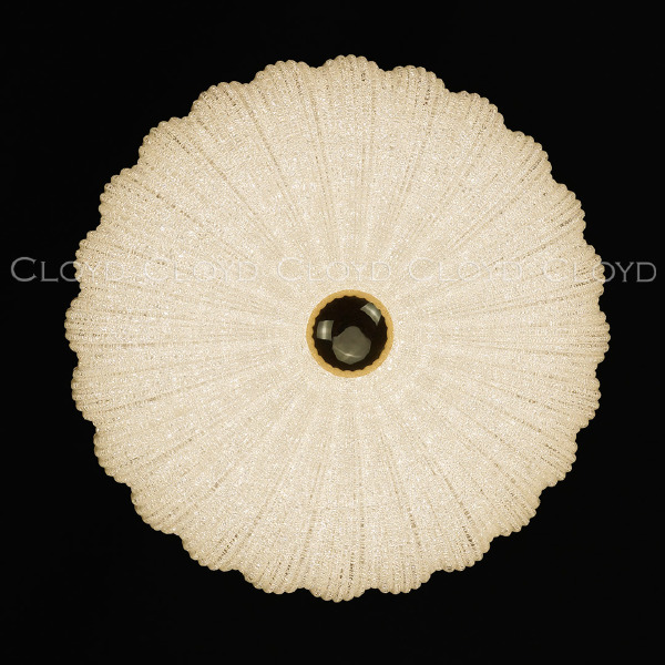 Светильник потолочный Dessa 10372