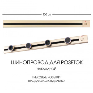 Шинопровод Am-track-sockets 385201TOB/100 Gold