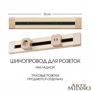 Шинопровод Am-track-sockets 382305TO/50 Gold