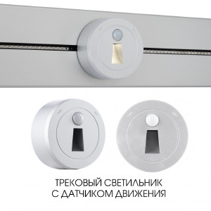 Трековый светильник Am-track-sockets-39 397953TLS/LWS Silver