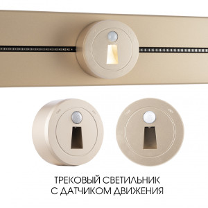 Трековый светильник Am-track-sockets-39 397953TLS/LWS Gold
