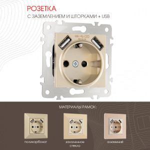 Розетка Am-203 203.47-1.shampan