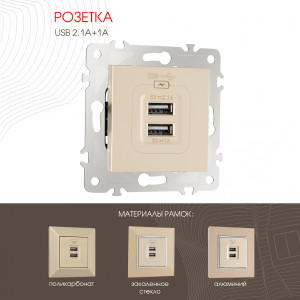 Розетка Am-203 203.46-1.shampan