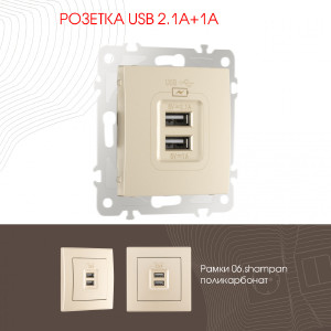 Розетка Am-206 206.46-1.shampan