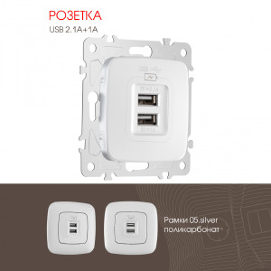 Розетка Am-205 205.46-1.silver