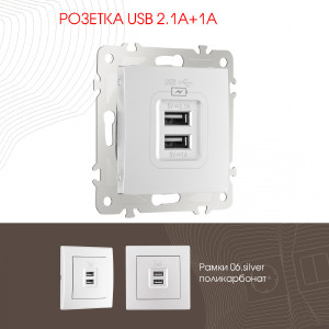 Розетка Am-206 206.46-1.silver