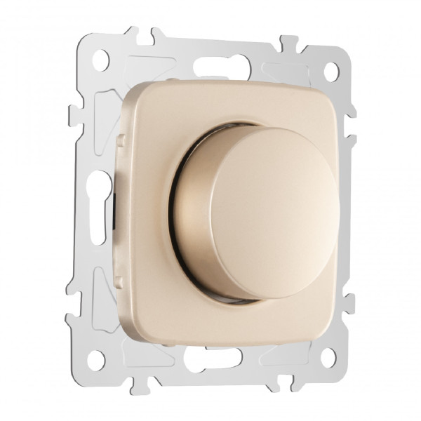 Диммер Am-205 205.48-1.shampan