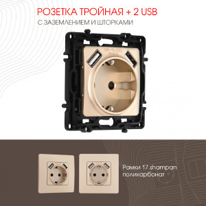 Розетка Am-217 217.47-1.shampan