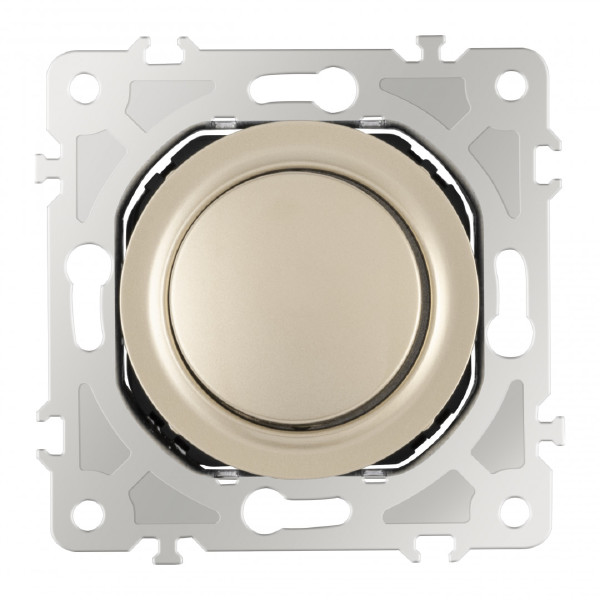 Диммер Am-202 202.48-1.shampan