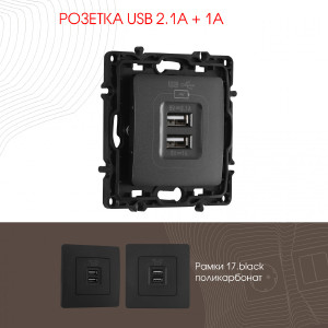 Розетка Am-217 217.46-1.black