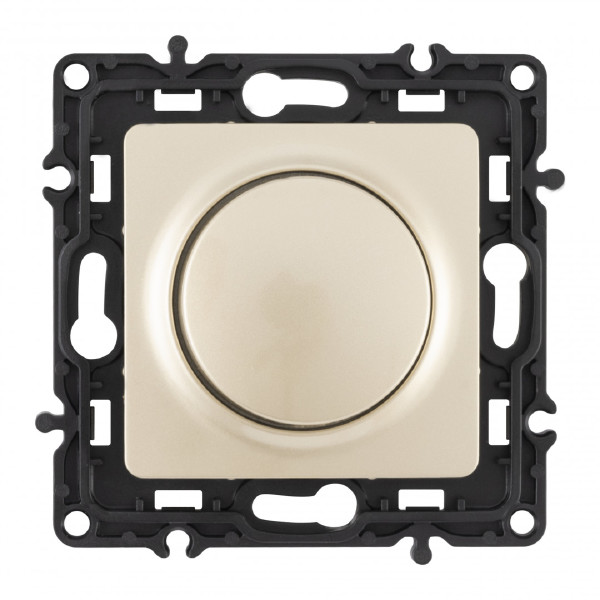 Диммер Am-217 217.48-1.shampan