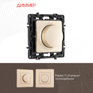 Диммер Am-217 217.48-1.shampan