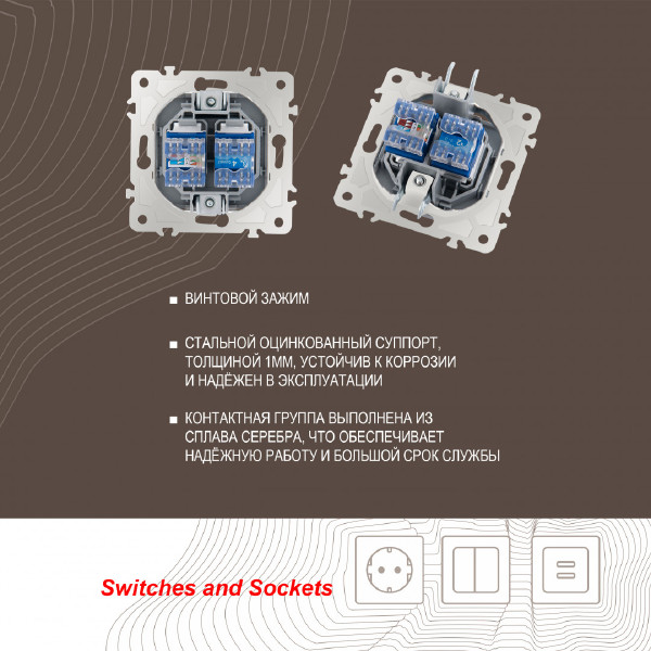 Розетка Am-203 203.44-1.silver