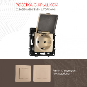 Розетка Am-217 217.41-1.shampan