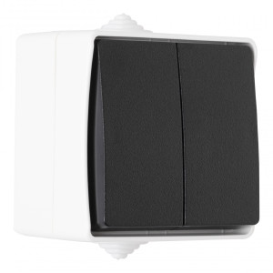 Выключатель Am-309 309.32-2.grey