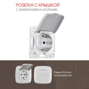 Розетка Am-205 205.41-1.silver