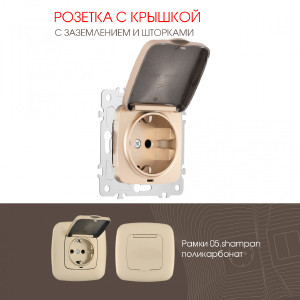 Розетка Am-205 205.41-1.shampan