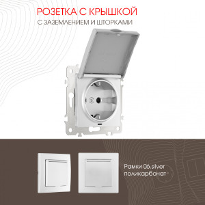 Розетка Am-206 206.41-1.silver