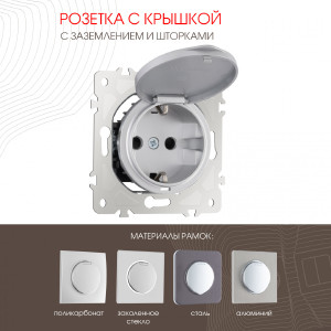 Розетка Am-202 202.41-1.silver