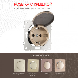 Розетка Am-202 202.41-1.shampan