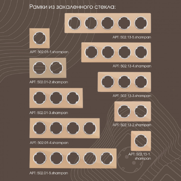 Розетка Am-202 202.41-1.shampan