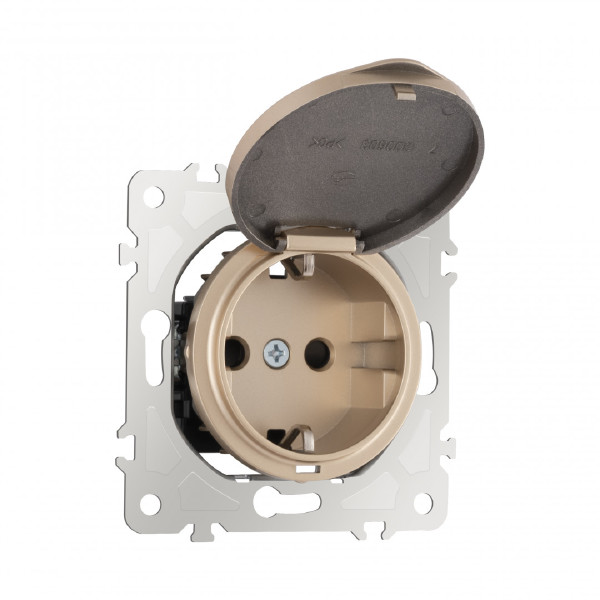 Розетка Am-202 202.41-1.shampan