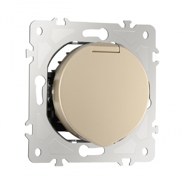 Розетка Am-202 202.41-1.shampan