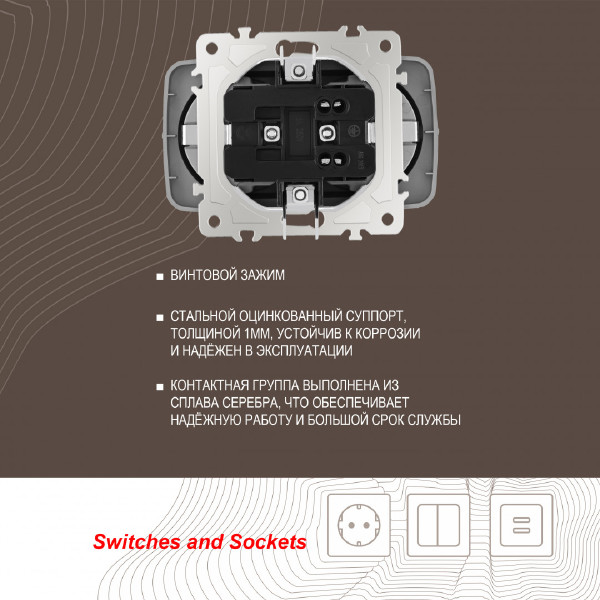 Розетка Am-205 205.40-2.silver