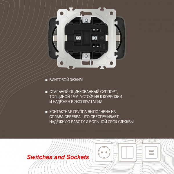 Розетка Am-205 205.40-2.shampan