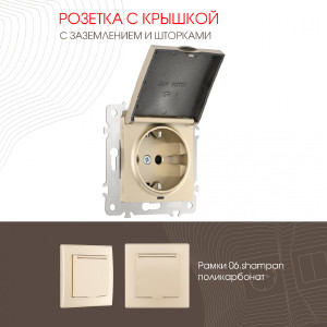 Розетка Am-206 206.41-1.shampan