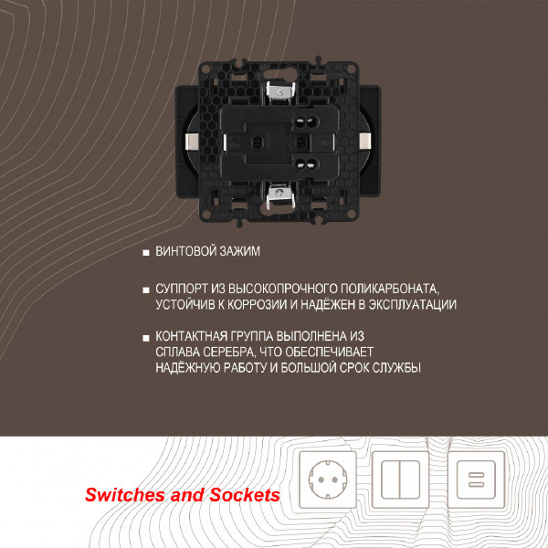 Розетка Am-217 217.40-2.black