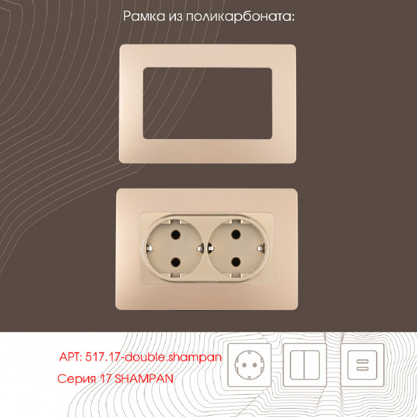 Розетка Am-217 217.40-2.shampan