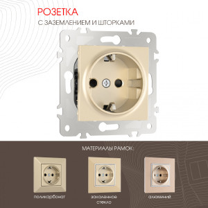 Розетка Am-203 203.40-1.shampan