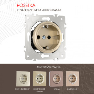 Розетка Am-202 202.40-1.shampan