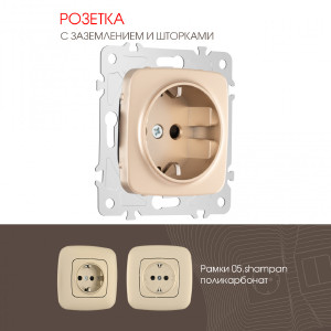 Розетка Am-205 205.40-1.shampan