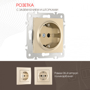 Розетка Am-206 206.40-1.shampan