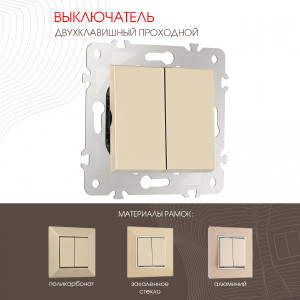 Выключатель Am-203 203.32-2.shampan