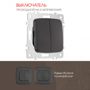 Выключатель Am-205 205.32-2.black