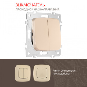 Выключатель Am-205 205.32-2.shampan