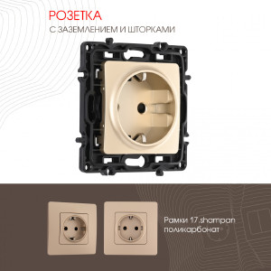 Розетка Am-217 217.40-1.shampan